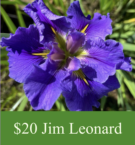 New Introduction Jim Leonard